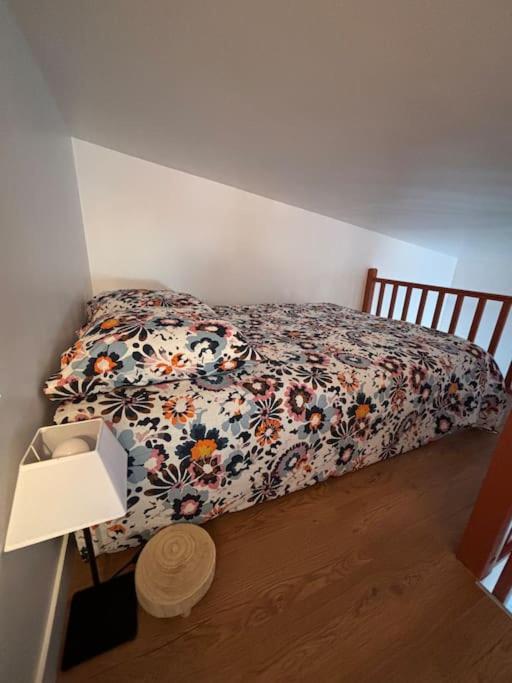 Charmante Maison Bord De Marne Maisons-Alfort Kültér fotó